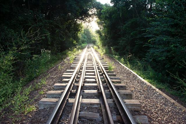 Train tracks converging through a lush green corridor toward the light.